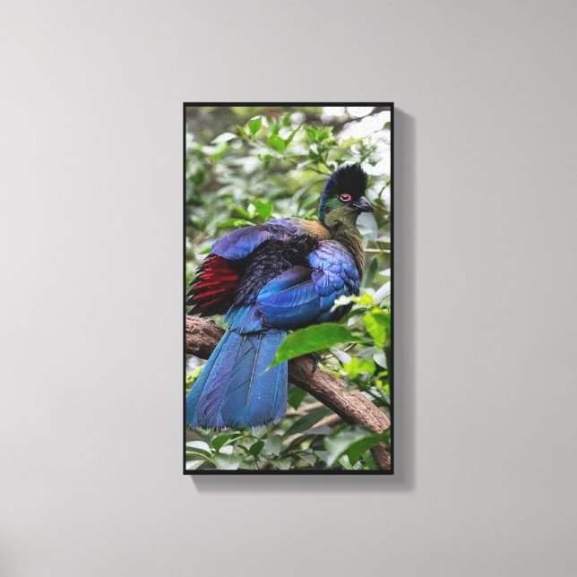 Lila-Crested Turaco Canvastryck (Framsida)