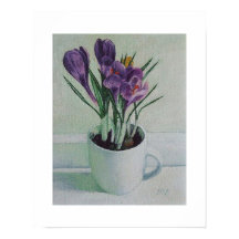 Lila crocus-blommor, poster av Pola.B.Alex