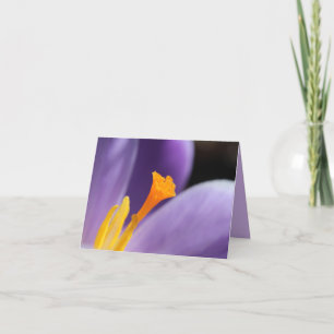 Lila Crocus Flower Saffron Stigma - tackkort