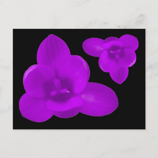 Lila Crocus Flower vycard Vykort (Framsida)