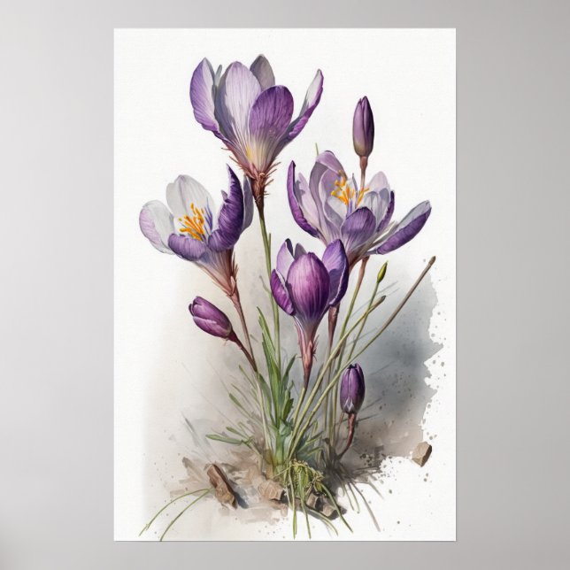 Lila Crocus Flowers Art Print Poster (Framsidan)