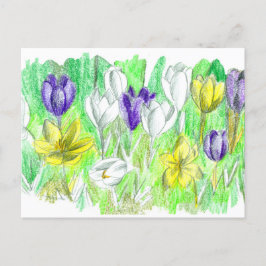 Lila Crocus Flowers Forest Golv Vår Art Vykort
