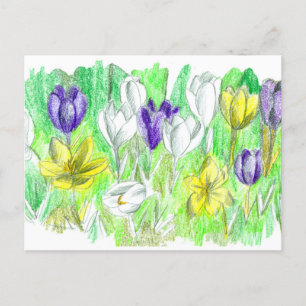 Lila Crocus Flowers Forest Golv Vår Art Vykort