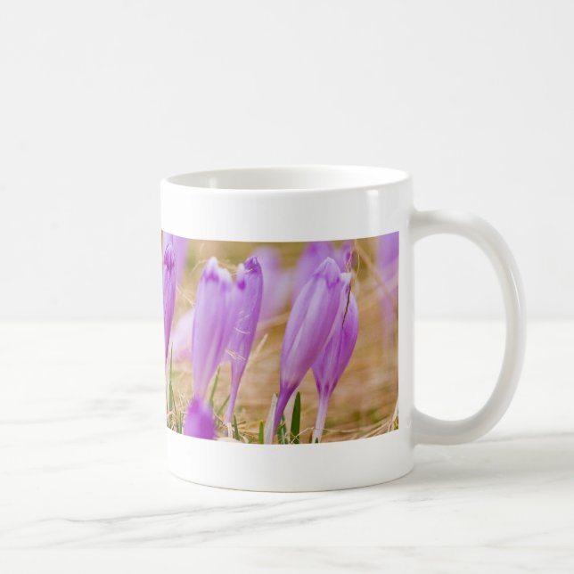 Lila Crocus Flowers in Grass Kaffemugg (Höger)