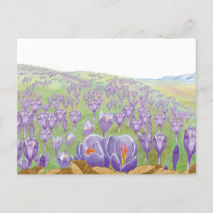 Lila Crocus Flowers på Vår Backe Illustration Helg Vykort
