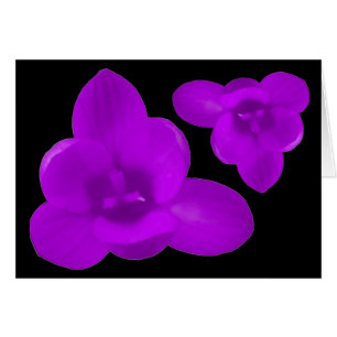 Lila Crocus Greeting Card Hälsningskort
