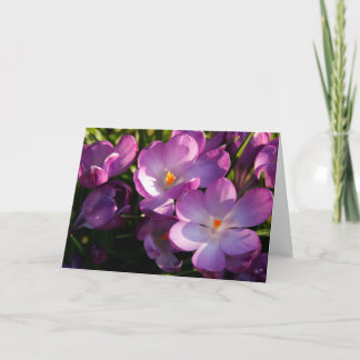 Lila Crocus Greeting Card Meddelande