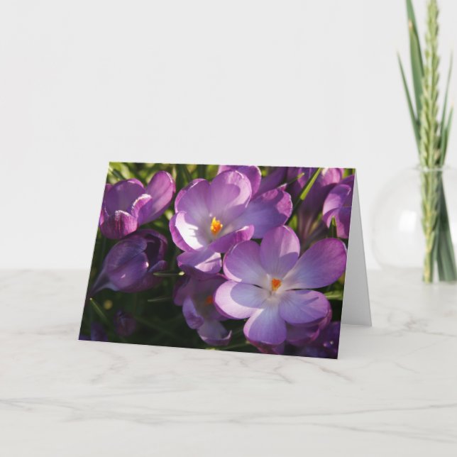 Lila Crocus Greeting Card Meddelande (Framsida)