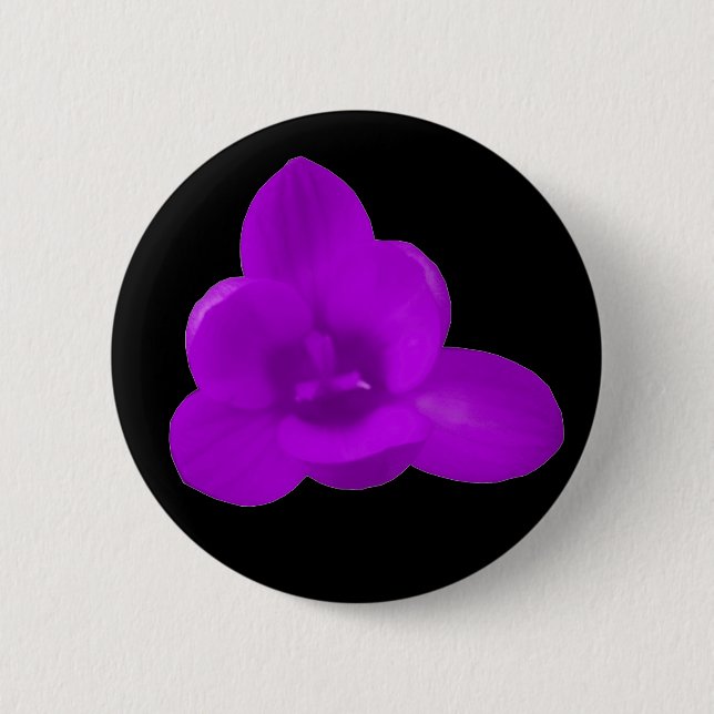 Lila Crocus-knapp Knapp (Framsida)