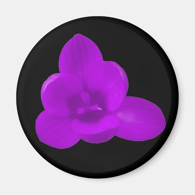 Lila Crocus Magnet (Framsidan)