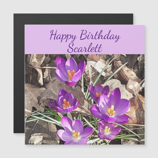 Lila Crocus Magnetic Birthday Card (Fram/baksida)
