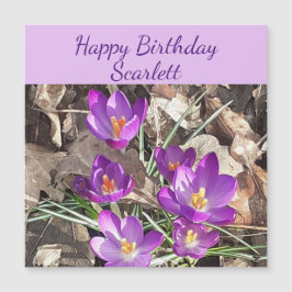 Lila Crocus Magnetic Birthday Card