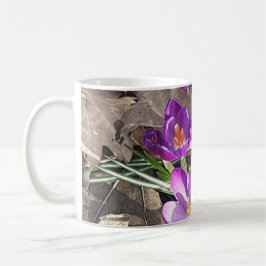Lila Crocus Mugg