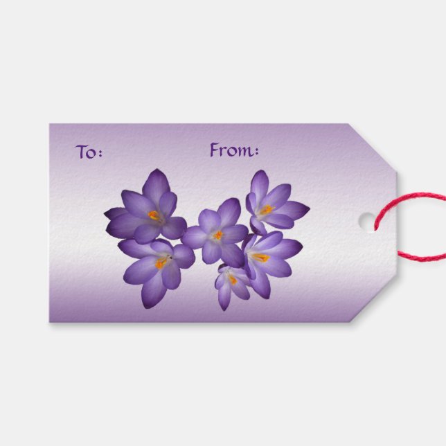 Lila Crocus Pack of Gift Märkres Presentetikett (Framsidan (Horisontell))