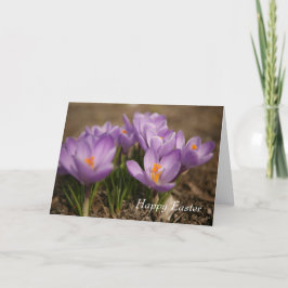 Lila Crocus Påsk Greeting Card Tack Kort