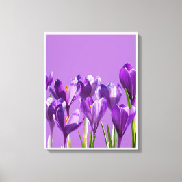 Lila Crocus Uppvaknande Canvastryck