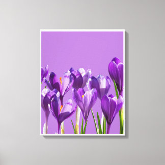 Lila Crocus Uppvaknande Canvastryck