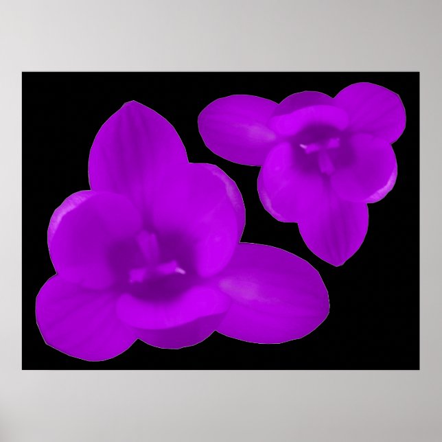 Lila Crocus-utskrift Poster (Framsidan)