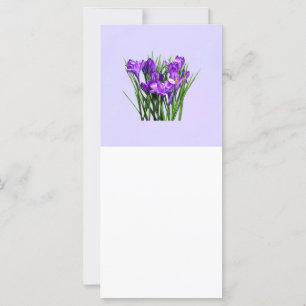 Lila Crocuses
