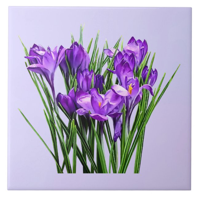 Lila Crocuses Kakelplatta (Framsidan)