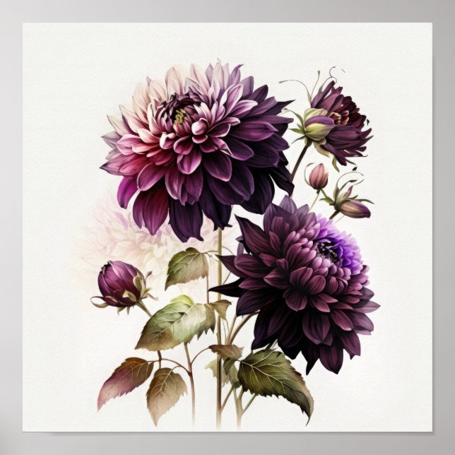 Lila Dahlia Blomma Konsttryck Poster (Framsidan)