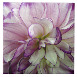 Lila Dahlia Ceramic Tile Kakelplatta