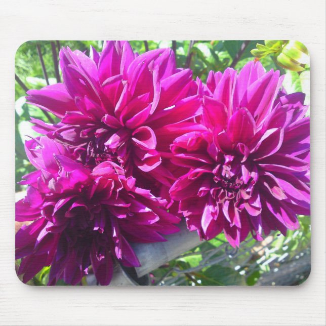 Lila Dahlia Flower Mouse Pad Musmatta (Framsidan)