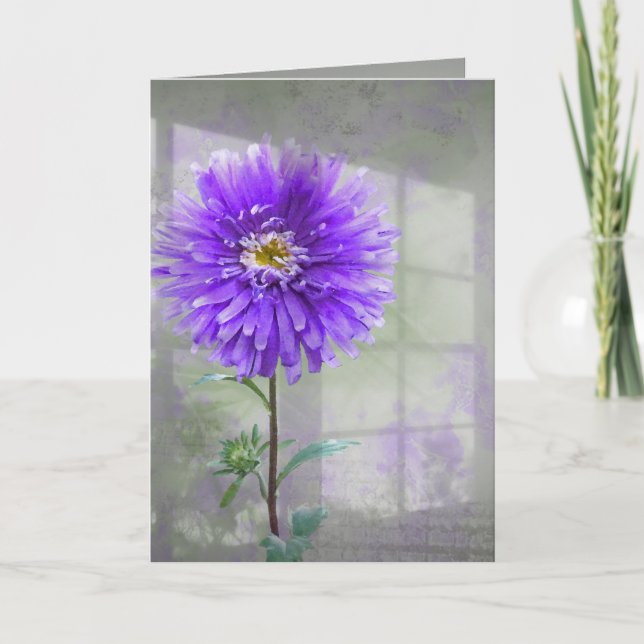 Lila Dahlia i fönsterskugga Kort (Framsida)