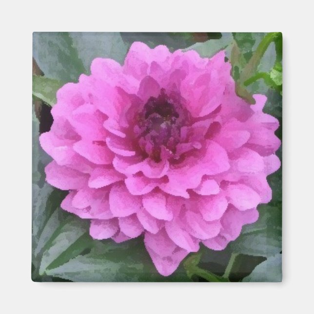 Lila Dahlia magnet (Framsidan)