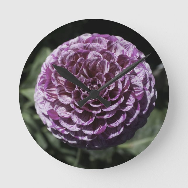 Lila Dahlia Wall Clock Rund Klocka (Framsida)