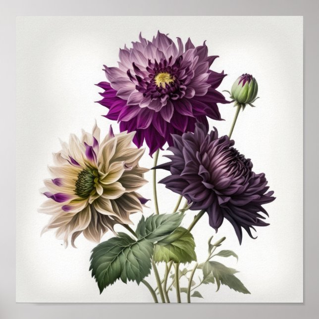 Lila Dahlias Flower Art Print Poster (Framsidan)
