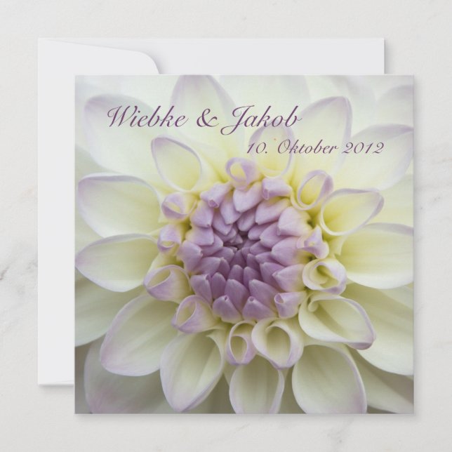 Lila Dahlie • Hochzeits-Einladung Inbjudningar (Framsida)