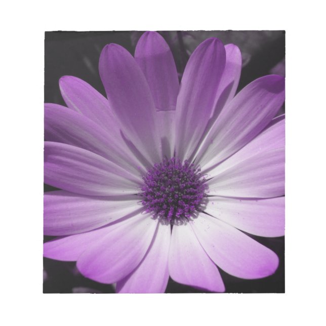 Lila Daisy Anteckningsblock blomma (Framsida)
