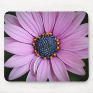 Lila Daisy Blomma Älskare Musmattor