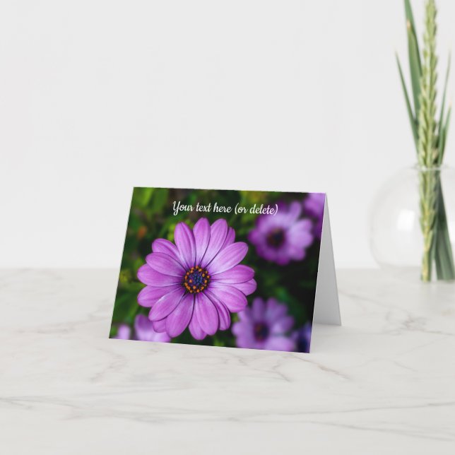 Lila Daisy blomma Grattiskort Kort (Framsida)
