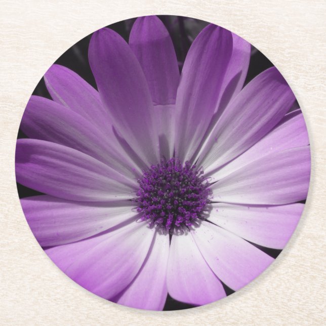Lila Daisy Blomma Pappers Coasters Underlägg Papper Rund (Framsidan)