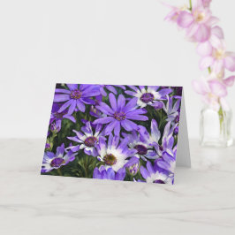 Lila Daisy Blommor Daisy Art Note Card Kort