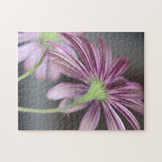 Lila Daisy Blommor - Naturfoto Pussel (Horisontell)