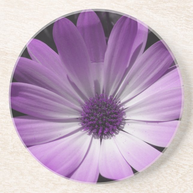 Lila Daisy Blommor Underlägg Sandsten (Framsidan)