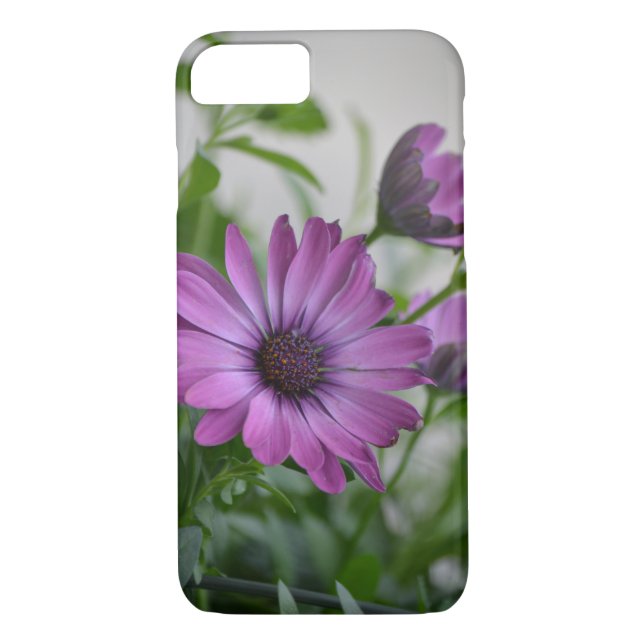 Lila Daisy Case-Mate iPhone Skal (Baksida)