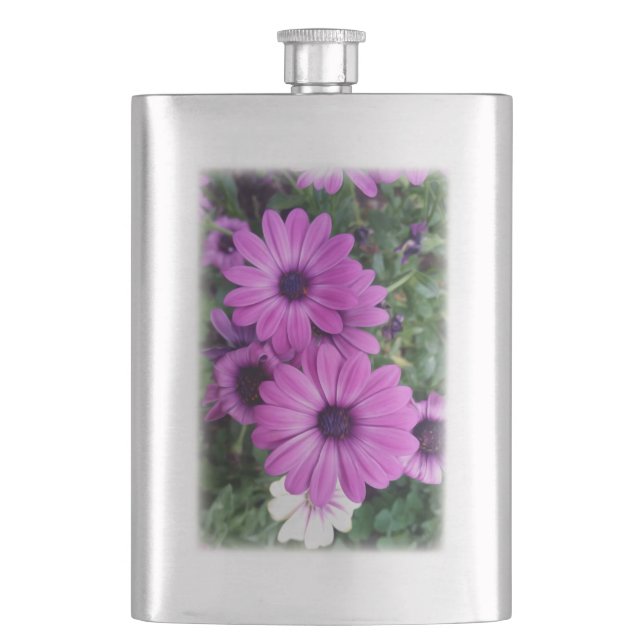 Lila daisy fickplunta (Framsidan)