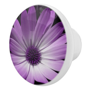 Lila Daisy Flower Ceramic Knob Knopp