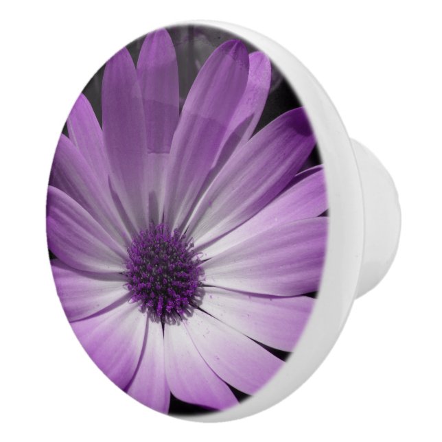 Lila Daisy Flower Ceramic Knob Knopp (Höger)