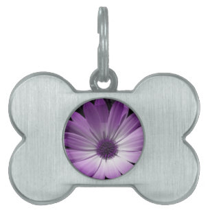 Lila Daisy Flower Pet Tag ID-bricka Husdjur