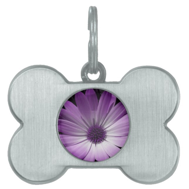 Lila Daisy Flower Pet Tag ID-bricka Husdjur (Framsidan)