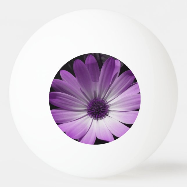 Lila Daisy Flower Ping Pong Boll (Framsidan)