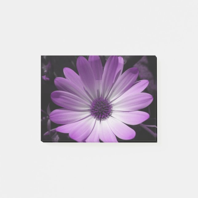 Lila Daisy Flower Post it notes Pad Post-it Block (Framsida)