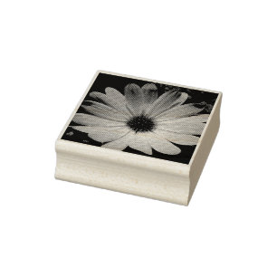 Lila Daisy Flower Wood Art Frimärke Stämpel