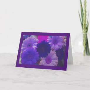 Lila Daisy Flowers Photo Hälsning eller Note Card Kort
