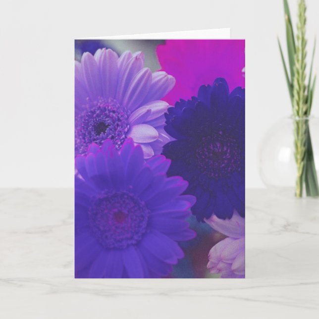 Lila Daisy Flowers Photo Note eller Greeting Cards Kort (Framsida)